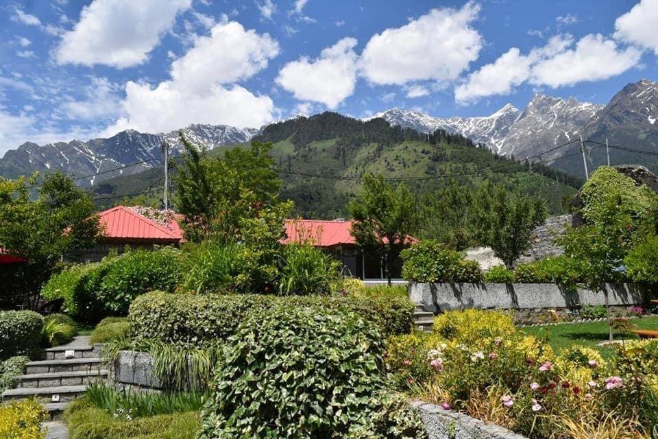 The Amrit Manali 2&3 Bhk Villas Bagian luar foto